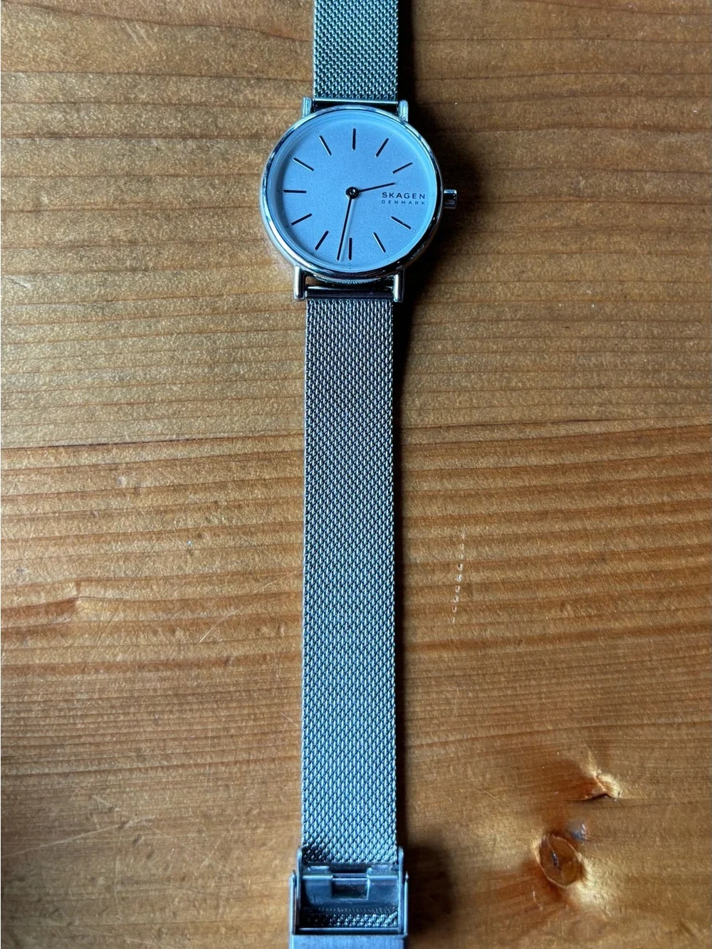 Skagen men watch